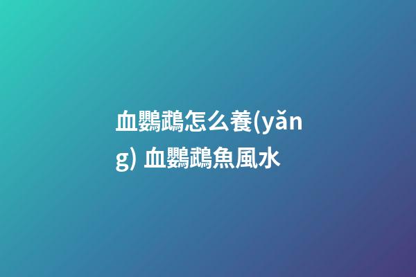 血鸚鵡怎么養(yǎng) 血鸚鵡魚風水